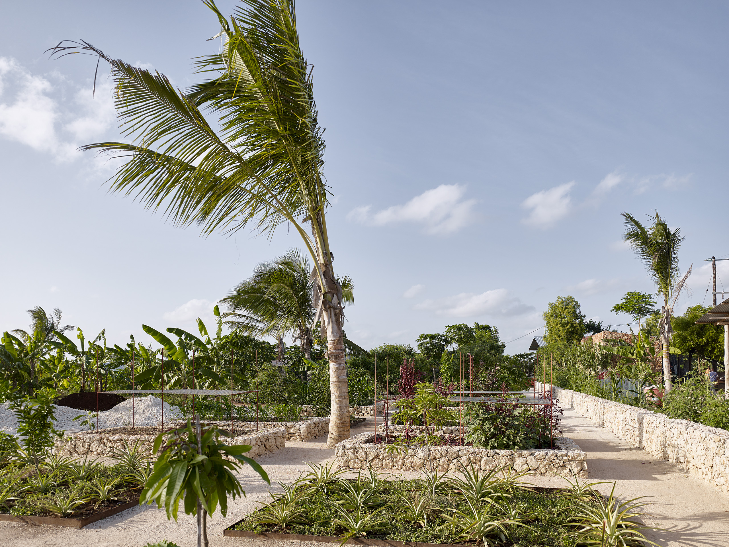 Kizikula, Kizimkazi, Zanzibar